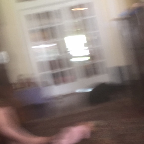 rjdkjddb